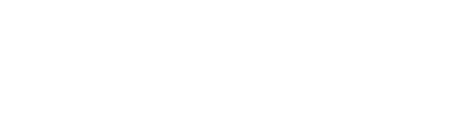 NEW MEDIA x NEW VISION